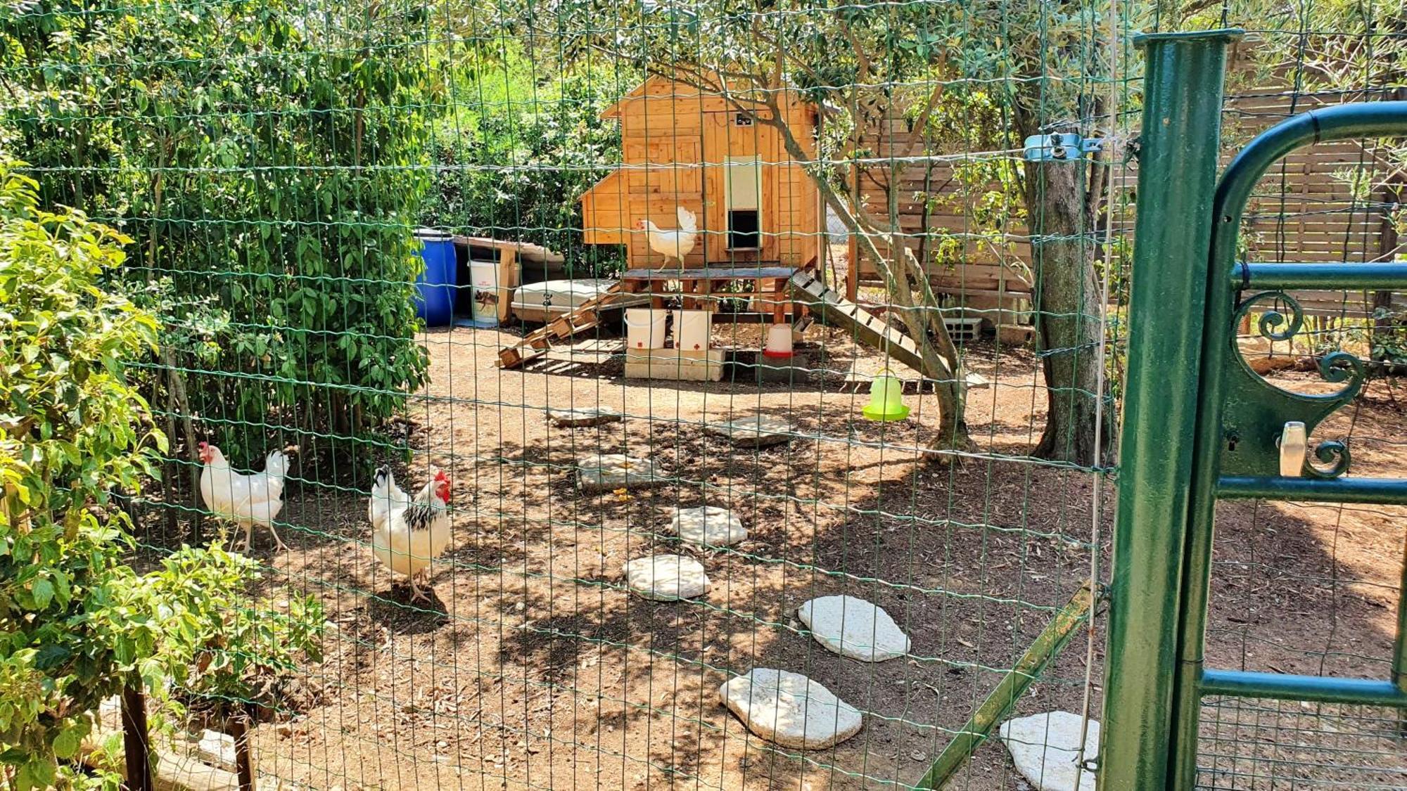 Villa Spacieuse A Beziers Avec Piscine Privee Et Jacuzzi Eksteriør bilde